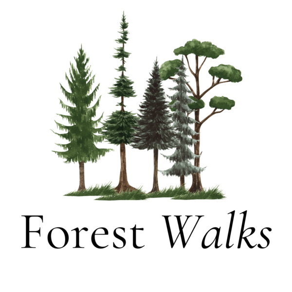 uplifting fragrance, fresh pine, berries, cinnamon, clove, jasmine, fir, fragrance